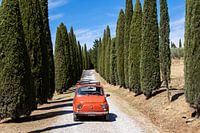 Fiat in der Zypressengasse (4)