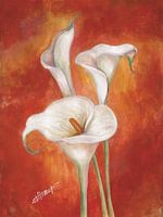 3 calla lilies