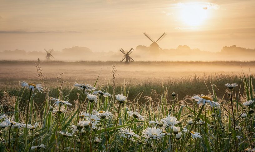 Holland by Photo Wall Decoration