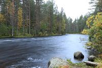 Stroomversnelling bij het meer Hypäs in Finland.