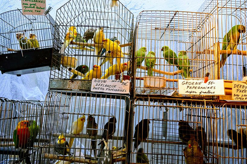 Vogelmarkt von P.D. de Jong