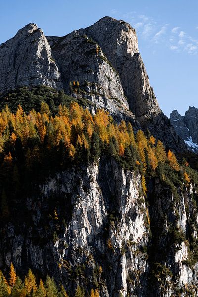 Herbst in den österreichischen Dolomiten von Hidde Hageman