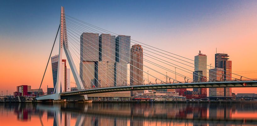 Rotterdam Skyline by Photo Wall Decoration