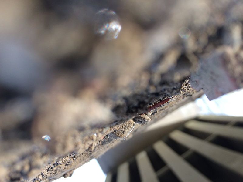 brücke - oudenaarde von kaatje deroeck