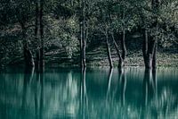 Reflexionen in der Natur