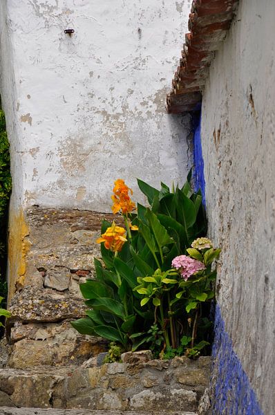 Bloemen op stenen trap von Anneke Wever