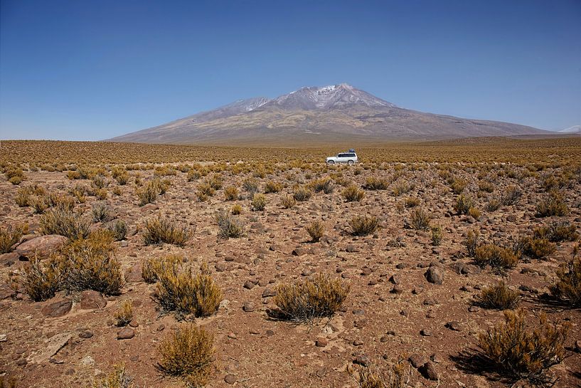Salar de Tara. A fourwheeldrive in the nature reserve of San Pedro de Atacama by Tjeerd Kruse
