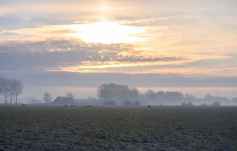 Wintersonnenaufgang von Tania Perneel