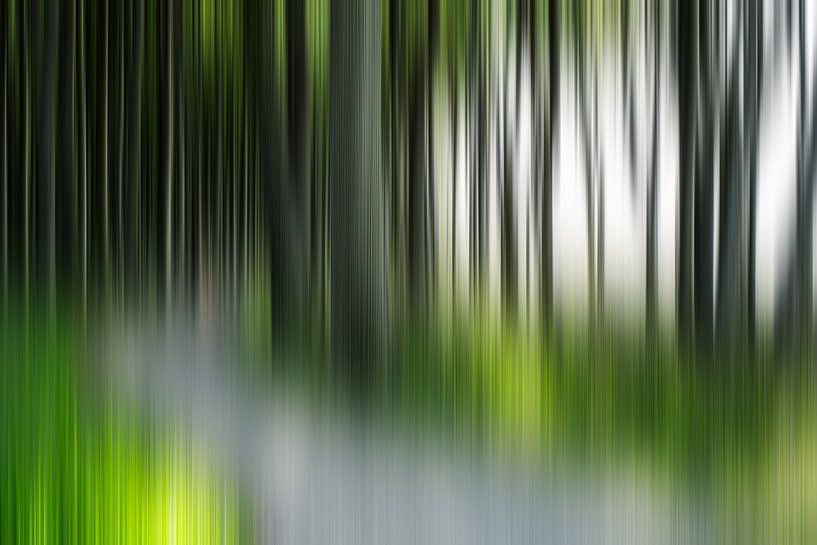 Abstract forest by Ralf Hickmann