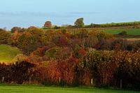 Der Herbst in all seinen Farben