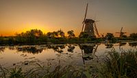Goldener Kinderdijk Pano