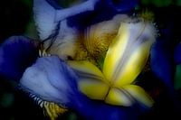 Couleurs en mouvement