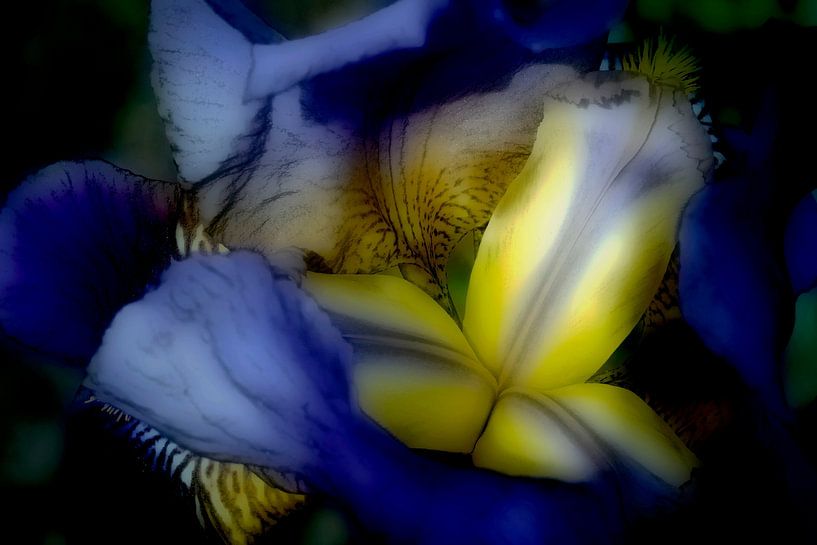 Couleurs en mouvement par Bart Uijterlinde