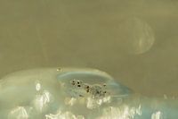 UFO found on beach, a work of art in the universe