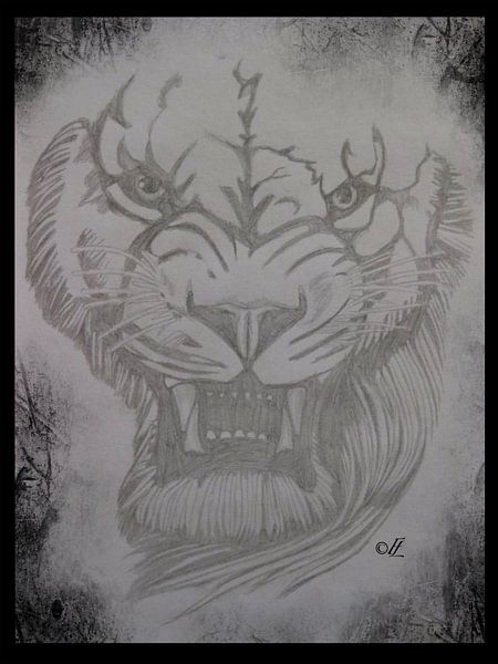 Der schrullige Löwe von Felicia Lyin