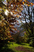 Pescocostanzo Bosco di Sant Antonio 9
