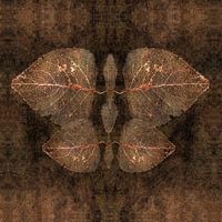 Der Herbst als entomolgisches Objekt