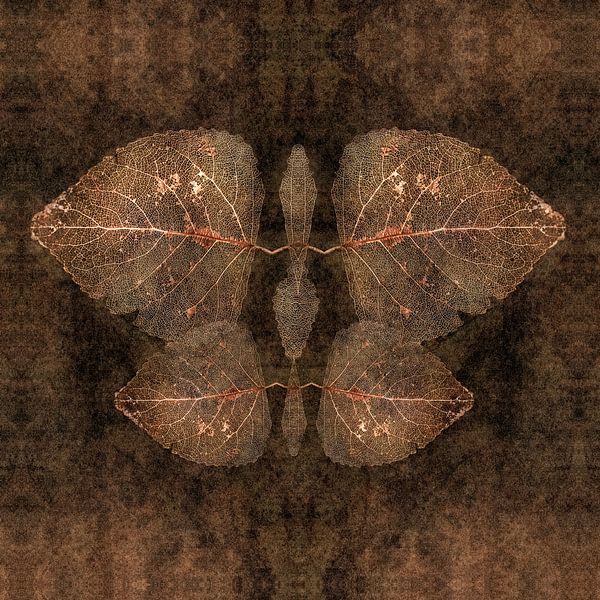 Der Herbst als entomolgisches Objekt von Marco van Antwerpen