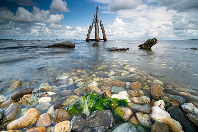 Adlerkopf im Grevelingensee, Zeeland von Fotografiecor .nl