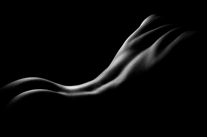 Lignes par Matthew Verslype