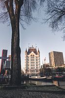 Het Witte Huis, Rotterdam