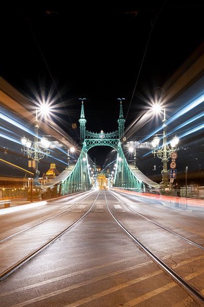 Freiheitsbrücke von Esmeralda holman