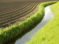 Lines in the landscape