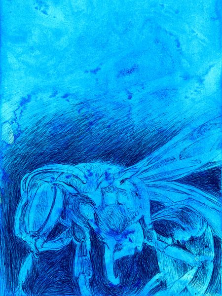 Calao asiatique par Retrotimes