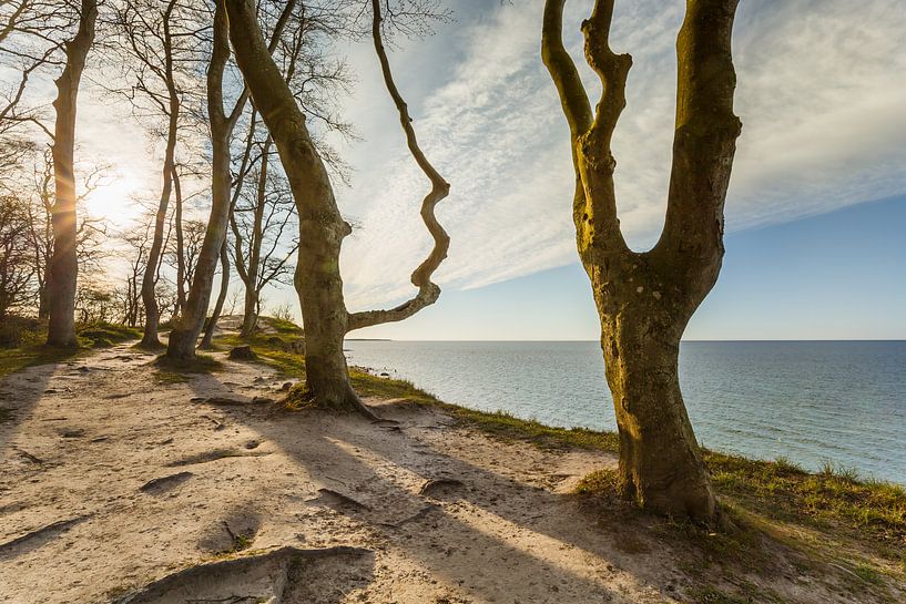 Nature Sculptures by Ursula Reins