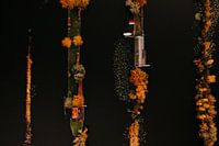 Photo aérienne de Scheendijk au lever du soleil