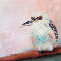 Kookaburra