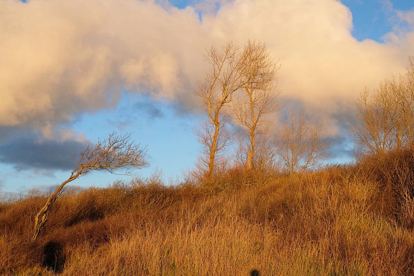 Fat clouds in the evening by Ostsee Bilder