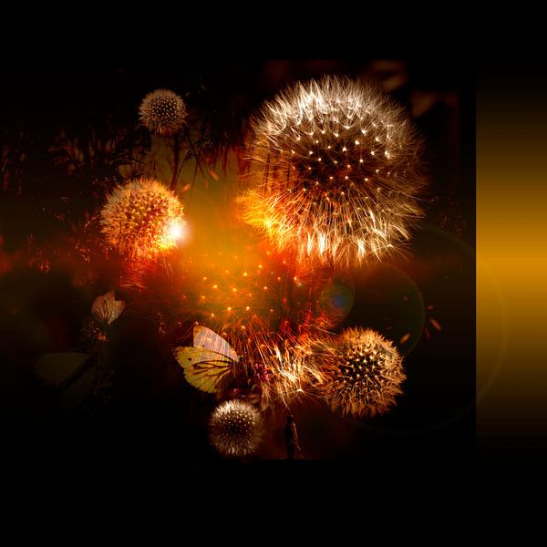 GOLDEN HOURS by Ted van den Aarssen