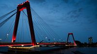 Willemsbrug Rotterdam bei Nacht