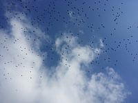 In 's blaue hinein...