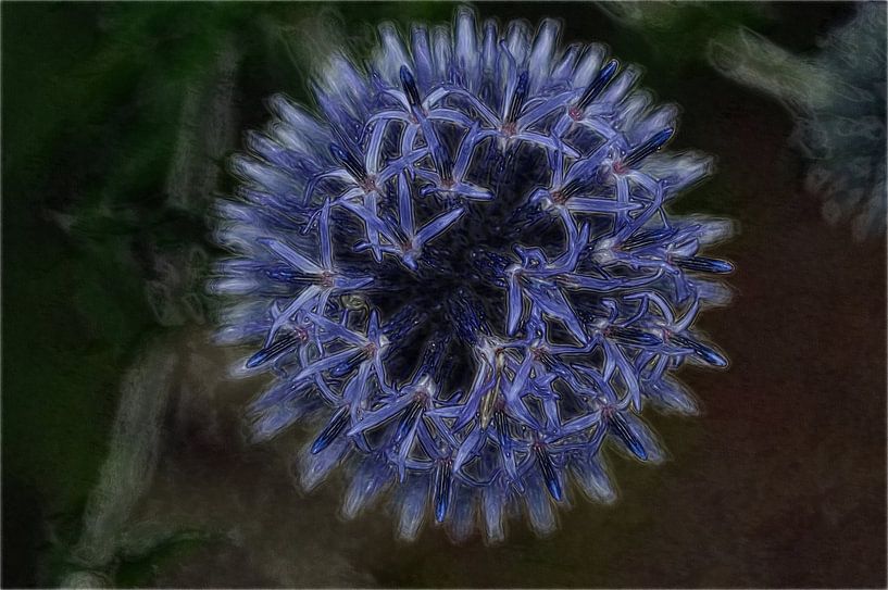 Blumen 13 von True Color Stories