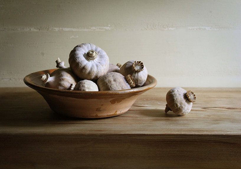 Papaverbollen in schaal van Ton Meijer