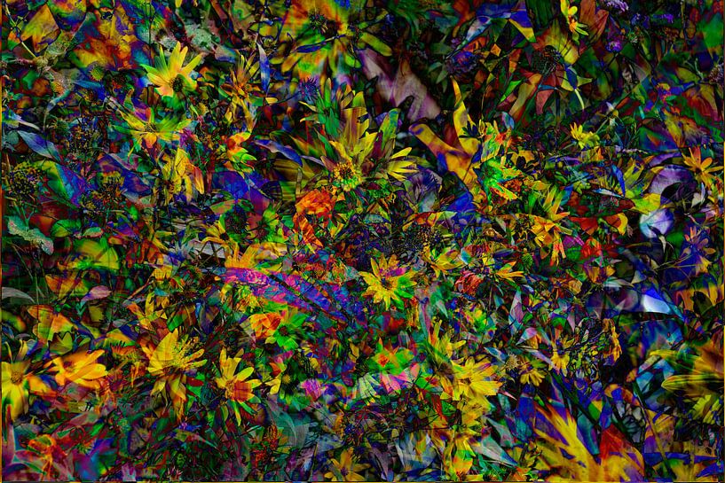 Sonnenhut (Rudbeckia fulgida), abstrakt von Torsten Krüger