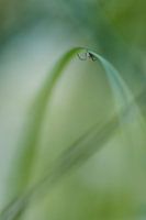 Spider in your own environment