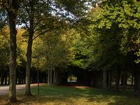 Herbstanfang neben dem Mali-Feld