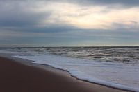 "L'écume de mer sur la plage de Maasvlakte".