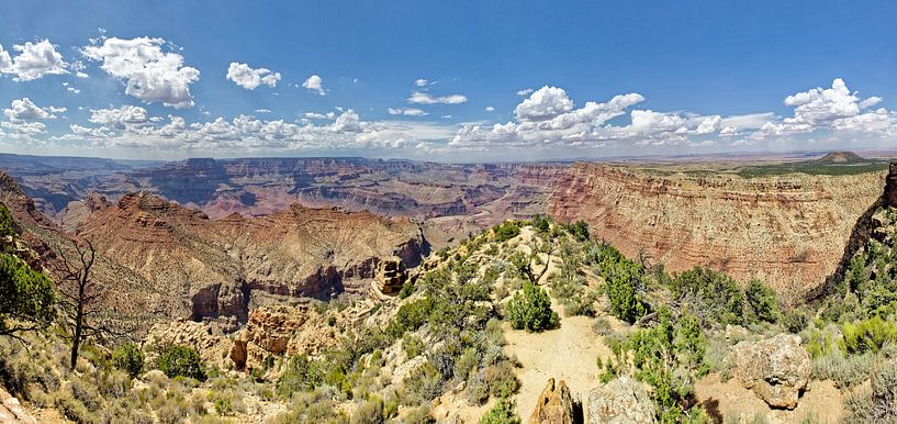 Grand Canyon, USA by Imageditor