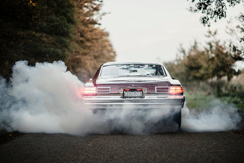 Let's waste time chasing cars..... von Linda Hutten