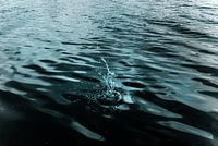 Schönheit einer Wasseroberfläche