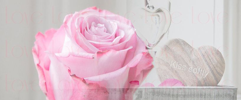 Pink Love by Sense Photography