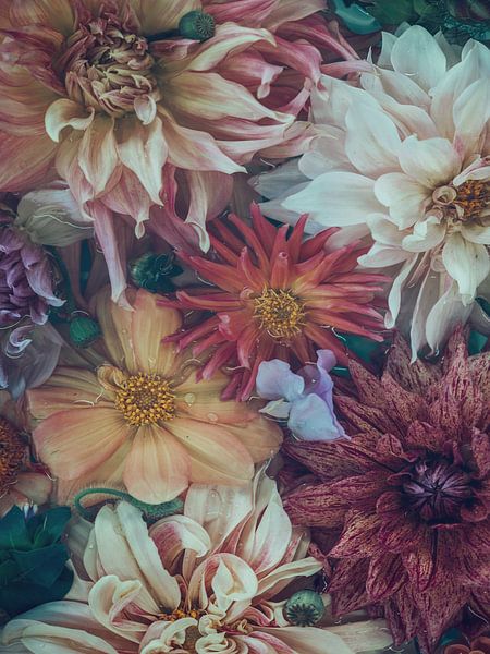 Essence by Marina de Wit