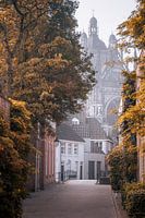 Herbst in 's-Hertogenbosch