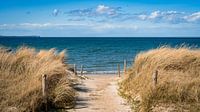 Baltic Sea beach