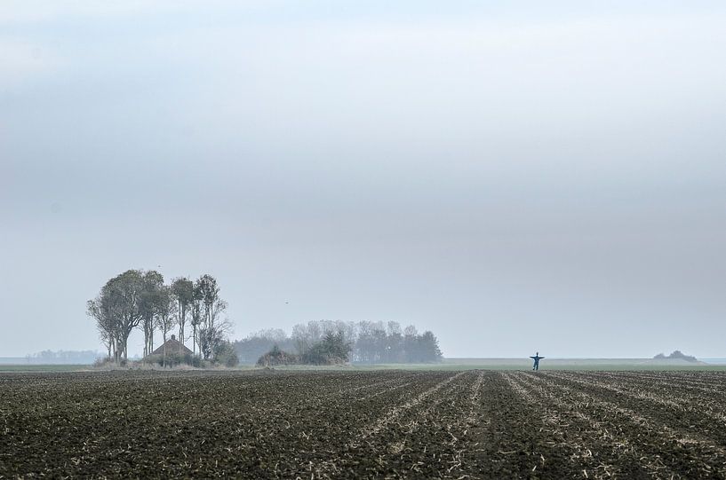 Vogelverschrikker by Marnefoto .nl