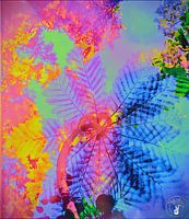 Summer s almost Gone ( Blue )